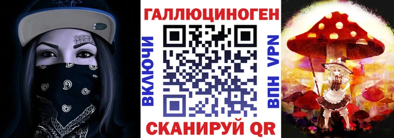 Псилоцибиновые грибы Psilocybine cubensis  Купить где  Городец 